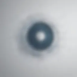 Abstract Vision