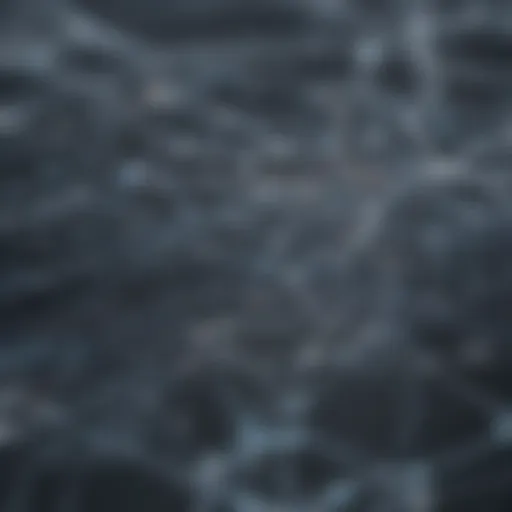 Detailed view of Auvik's network mapping interface