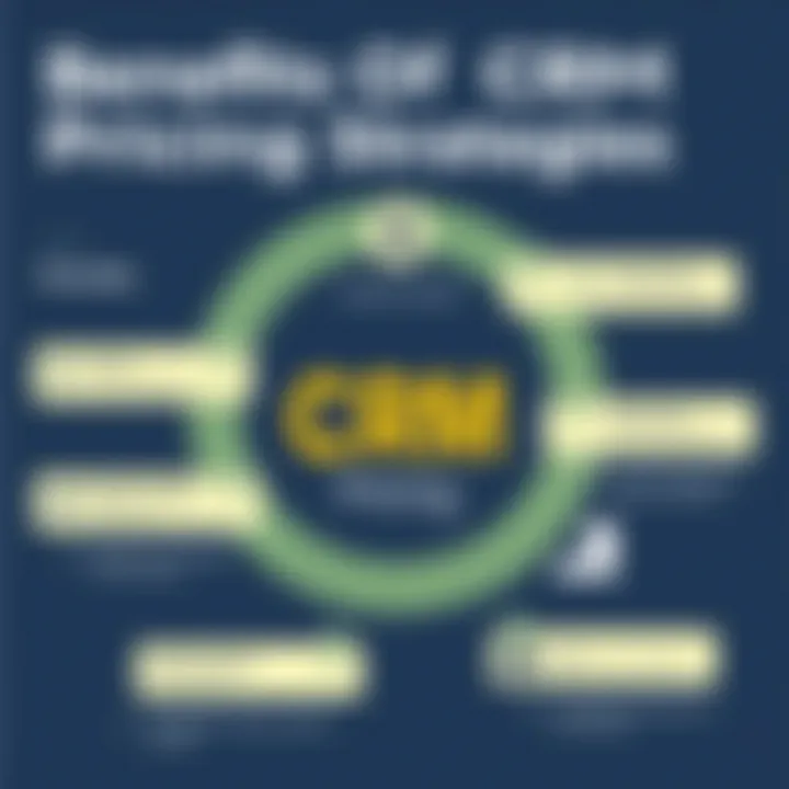 Benefits of CRM Pricing Strategies Infographic showing benefits of different CRM pricing methods