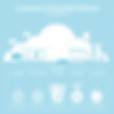 Comparison of Cloud Nine Software with Competitors Infographic comparing Cloud Nine Software with its competitors