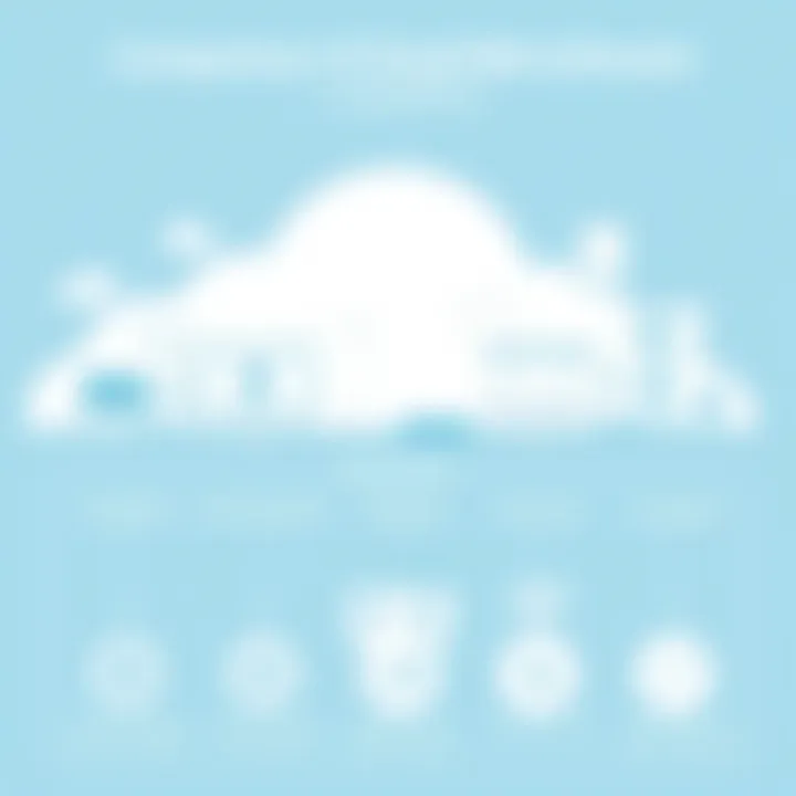 Comparison of Cloud Nine Software with Competitors Infographic comparing Cloud Nine Software with its competitors