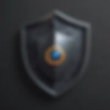 Visual Representation of Data Protection Shield in Cognito Identity Verification Data Protection Shield