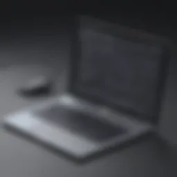 GoToMyPC installation screen on Mac