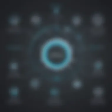 Enhanced Reporting Capabilities with Divvy and Xero Infographic displaying enhanced reporting capabilities from the integration