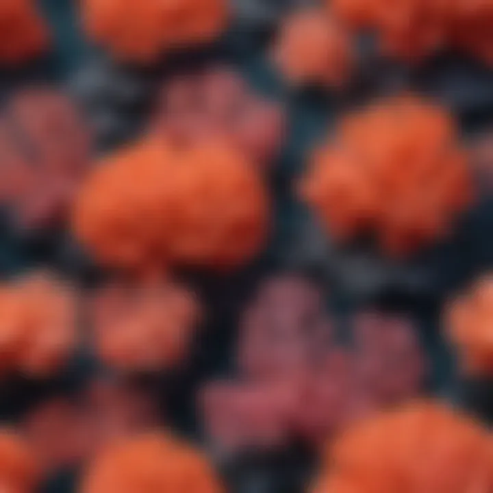 Color Harmony in Coral Draw