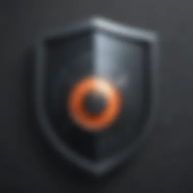 Shield with digital lock icon