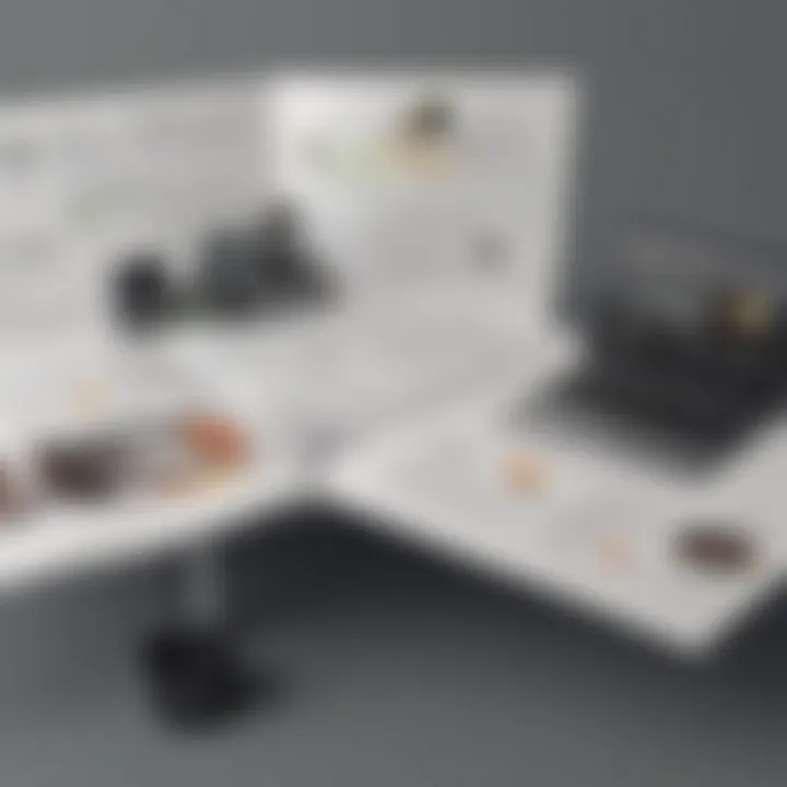 Visual Guide for Entrepreneurs Choosing GoDaddy