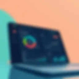 Dashboard view of financial software