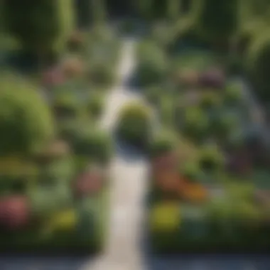 Stunning Garden Layout Generated by Free Software A beautifully rendered garden layout created using design software