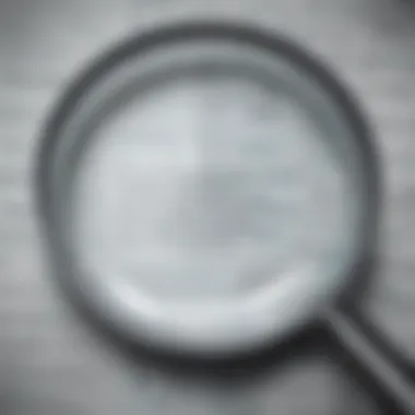 Magnified Insights of Hosting Hrvatska Magnifying glass revealing intricate details of Hosting Hrvatska