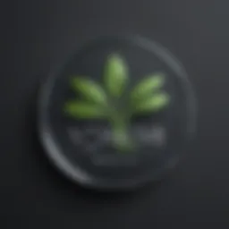 Voximplant logo showcasing its communication capabilities