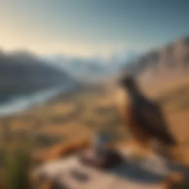 Scenic Training Environment Falconry training grounds with breathtaking scenery