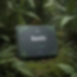 Visual representation of Jungle Scout's subscription tiers and pricing