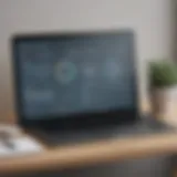 Overview of Longview budgeting software interface