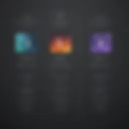 Professional photo editing software interface showing pricing tiers