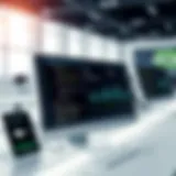 SailPoint Identity Now: An In-Depth Examination Introduction