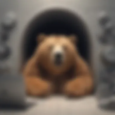 Exploring TunnelBear Account Management