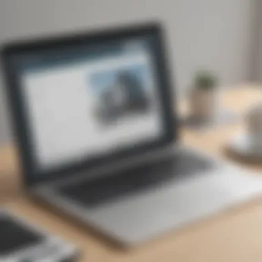 Tenant Rental Application Submission Tenant submitting a rental application online